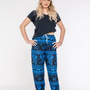 Pant Tchaya Raison